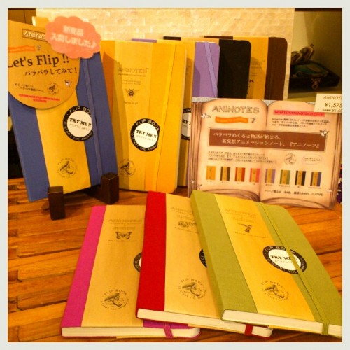 2013-03-22-12-22-45_deco